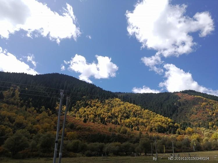 问一下三轮车油门线装上去了，可是没有弹力了，给不了油，知道怎么解决么？在线等回复，游戏画面