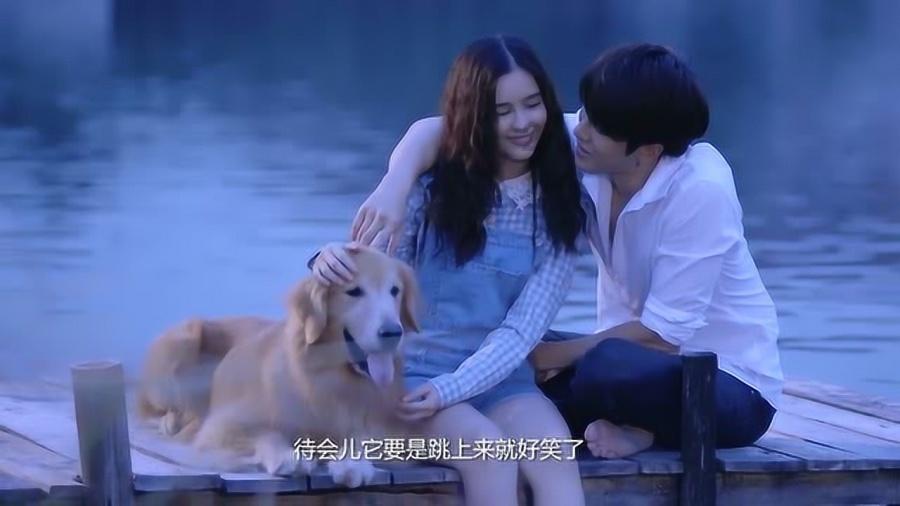 逗小猴开心系列166