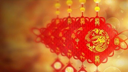 动物帮帮忙保卫家园